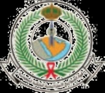 جهة حكومية